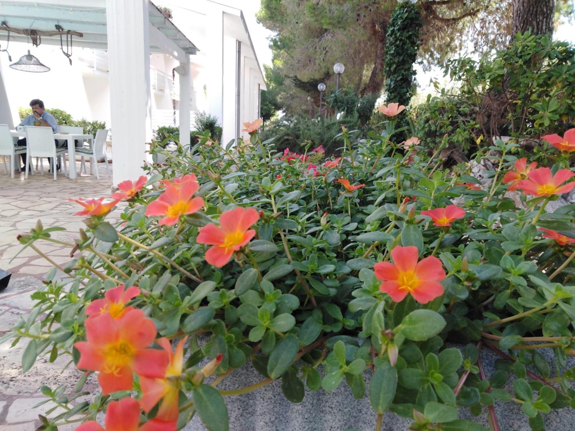Raggio Di Sole Aparthotel Alberobello Bagian luar foto