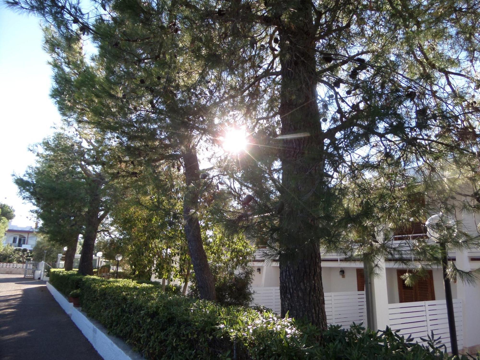 Raggio Di Sole Aparthotel Alberobello Bagian luar foto