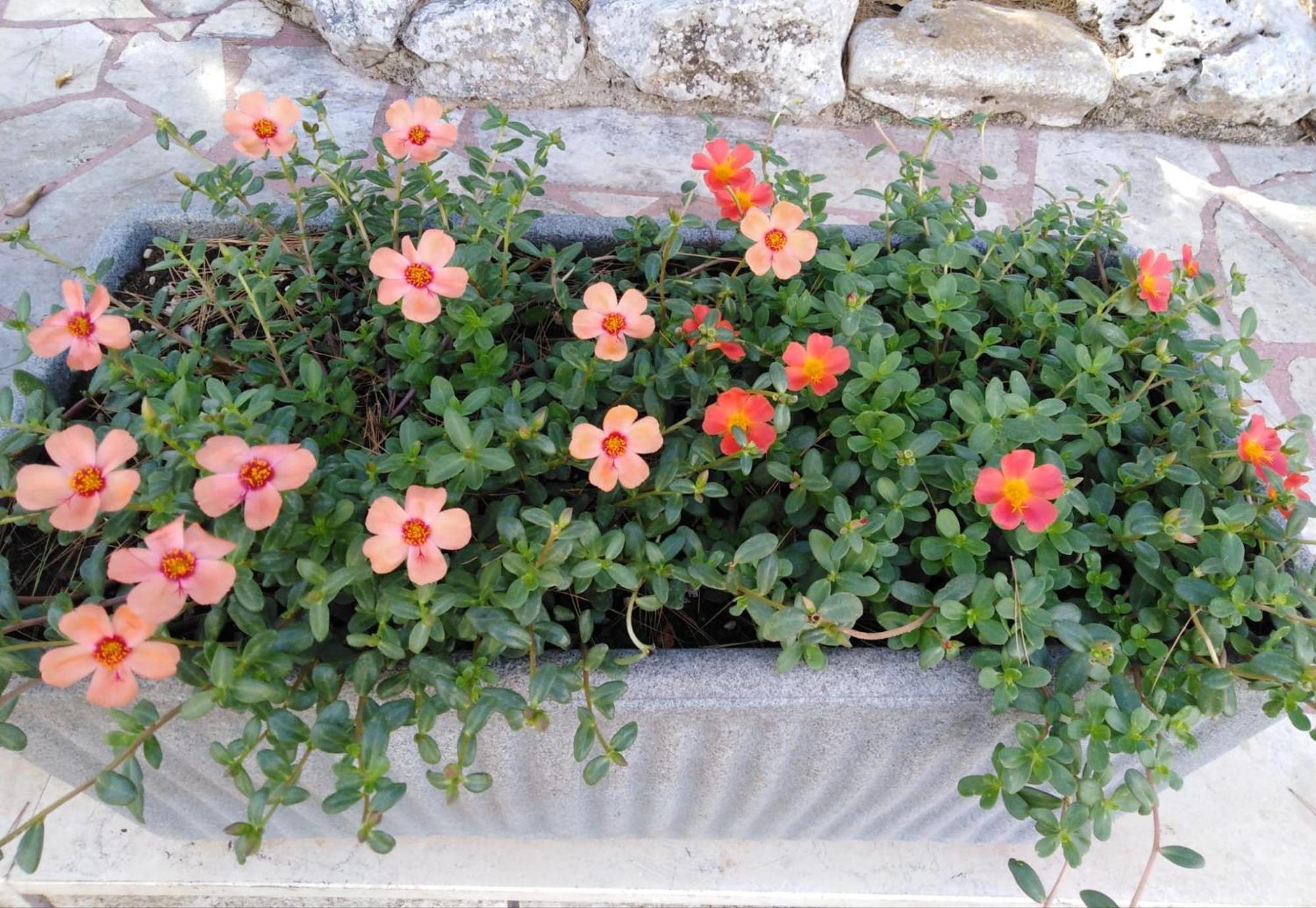Raggio Di Sole Aparthotel Alberobello Bagian luar foto