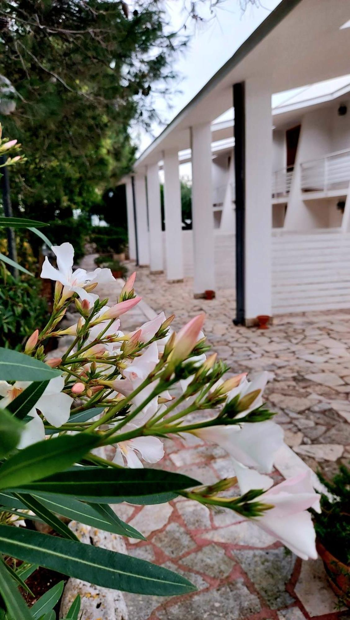 Raggio Di Sole Aparthotel Alberobello Bagian luar foto